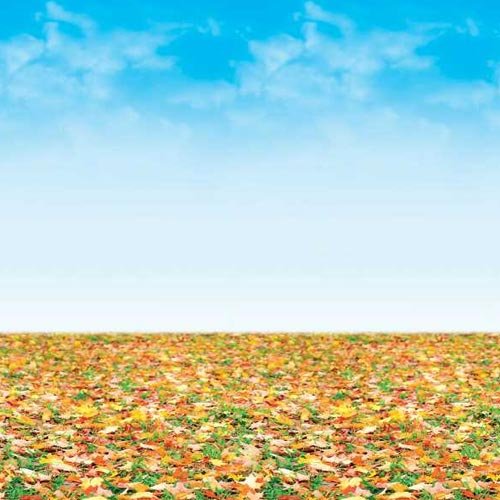 Papel para Decorar - Imagen 8